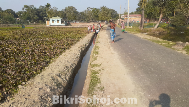 ময়মনসিংহ মুক্তাগাশা    ৪৩ শতাংশ  জমি  বিক্রয়  হবে